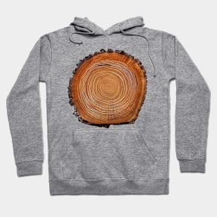 Log Hoodie